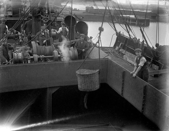 Imported coal being unloaded